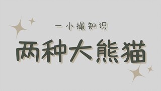 Sedekat ini, ternyata tidak pernah saling bertemu sama sekali