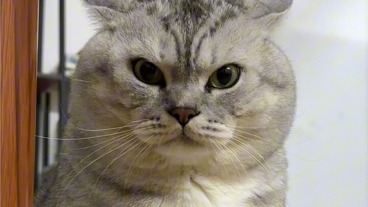 Chán quá, nắn mặt Đại Tráng chơi