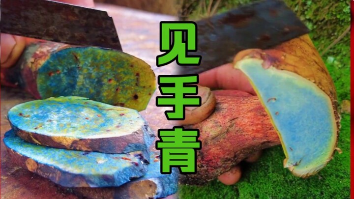 一学就会，一会就死！吃