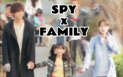 Fruit real couple, but in SPY×FAMILY [SPY×FAMILY pseudo-live version | Matsuzaka Tori x Toda Erika]