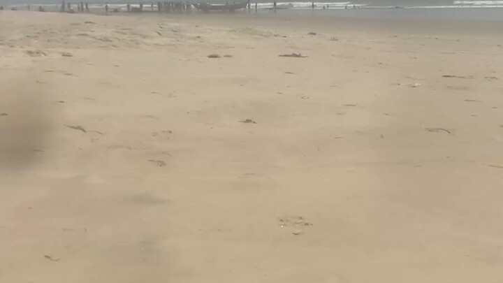 Low tide at Bakshot Beach Resort