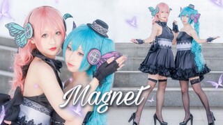 ครบรอบ 14 ปีของ Lily Divine Comedy! ♡Magnet♡ยุคฟื้นฟูศิลปวิทยาที่เกี่ยวพันกัน [Miao Ke × Qi Xia]