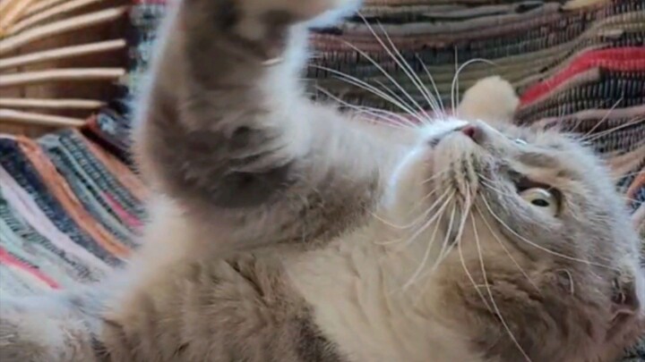 Шуня и Дюша