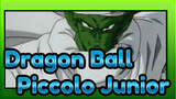 Dragon Ball
Piccolo Junior