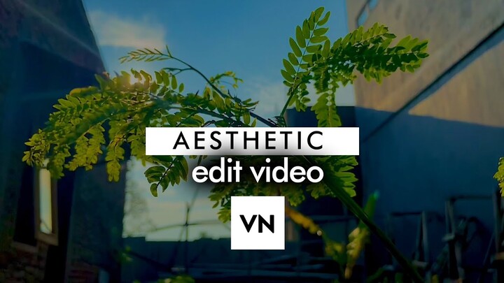 WAJIB TAHU ! Trik Video Aesthetic 2021