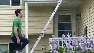 Sự khác biệt giữa người thật và nhân vật hoạt hình