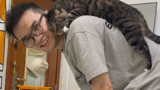 The differences between newbie cat owners and seasoned cat owners!