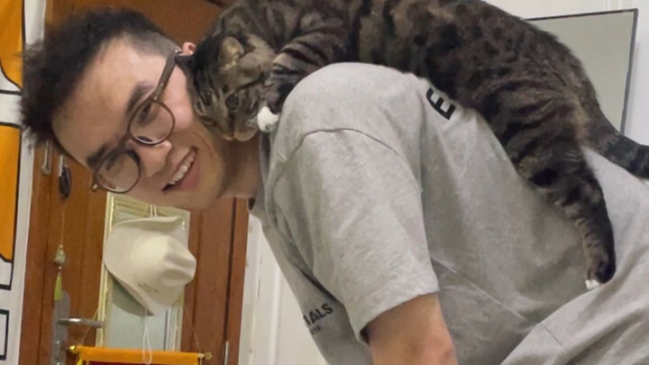 The differences between newbie cat owners and seasoned cat owners!