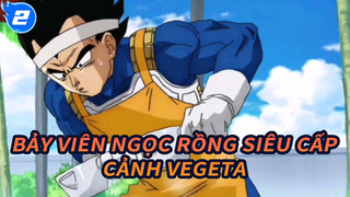 Bạn đã bao giờ thấy...Vegeta dịu dàng chăm sóc thế chưa?_2