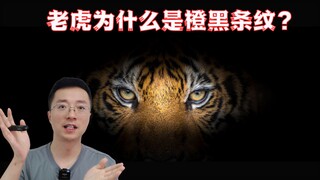 绝大部分动物的颜色，为什么都是上深下浅？