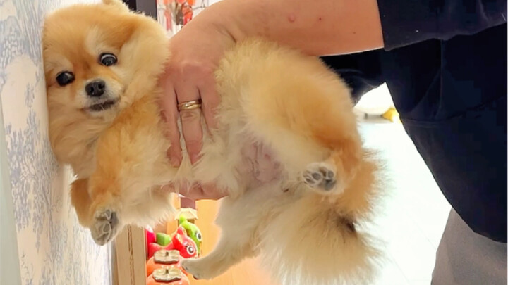 Siapa yang pintar dan siapa yang agak bodoh sudah terlihat jelas!