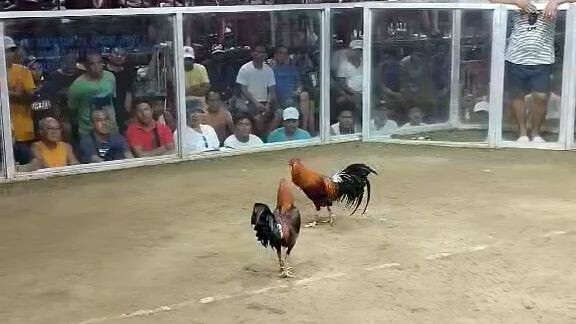 10 months stag kontra matanda (NADSAAG ARENA) SFC L.U