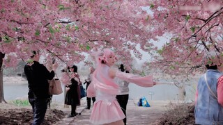 【แมวเค็ม】โอ้พระเจ้า! เพลงในตำนาน ❀Senbonzakura❀ เมื่อ 11 ปีที่แล้ว! 【เพลงคัฟเวอร์เต็ม】