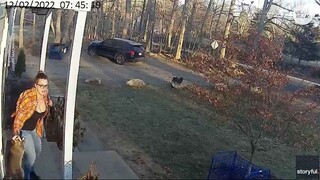 Heroic mom saves terrified five-year-old from raccoon attack _ USA TODAY #Shorts