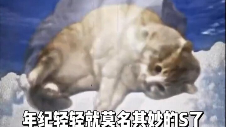What do you do when you’re allergic? Chinese people: Just tough it out.