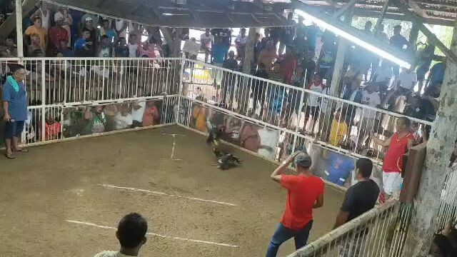 Win 2nd fight LDT boston Roundhead dark side Carmen Bohol Mega 2 wins Champion 🏆