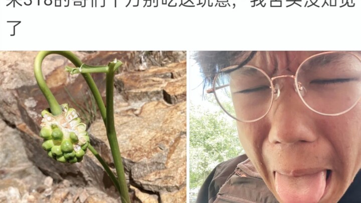 Bình luận bá đạo: Anh em đi 318 nhất định đừng ăn món này, lưỡi tôi tê hết rồi!