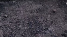 BTTH S5 episode 166 sub info