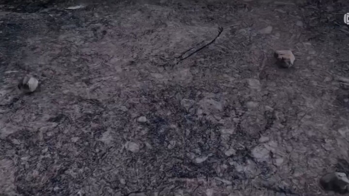 BTTH S5 episode 166 sub info