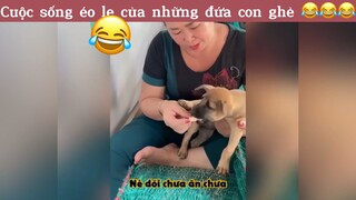 Cuộc sống éo le của những đứa con ghẻ