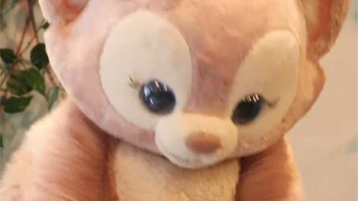 玲娜贝儿 我不胖 我是只实心的狐狸 给小姐姐加油鼓励的小福泥