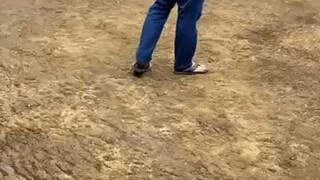 SUNGKIT SUNGKIT LANG😅 LEMON CROSS TO PUMPKIN