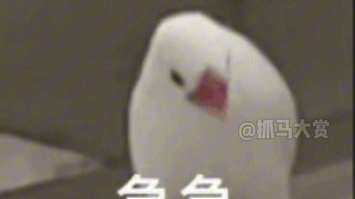 Anak tiba-tiba bisa bicara!