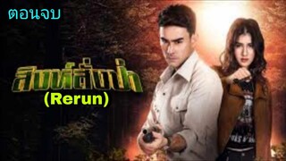 ละครสิงห์สั่งป่า(Rerun) ตอนจบ