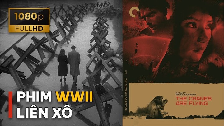 (VietSub) Khi Đàn Sếu Bay Qua (1957) | The Cranes Are Flying | Phim Chiến tranh Liên Xô