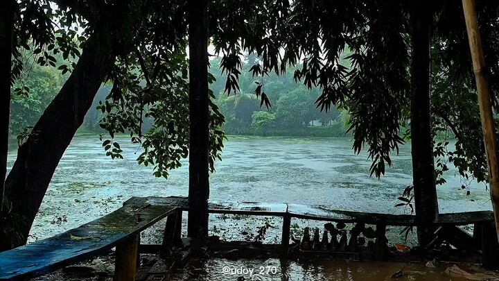 Rain | Nature | River
