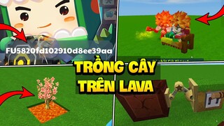 MINI WORLD:MẸO TRỒNG CÂY TRÊN LAVA , TẶNG CODE ĐỀN BÙ BẢO TRÌ GAME