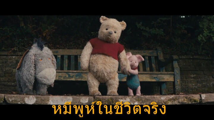 เมื่อหมูพีย์ เอ้ย หมีพูห์ มีชีวิตจริงๆ