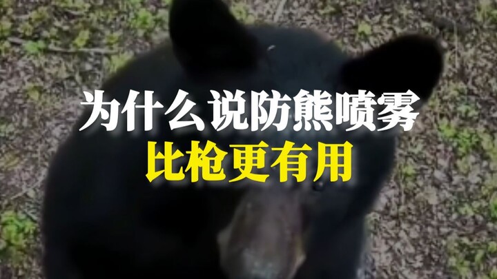 That’s why bear spray is more effective than a gun.