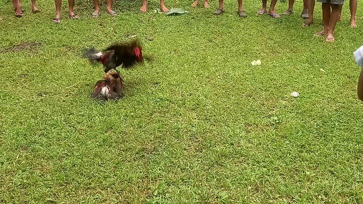 ganda ng dikit !!