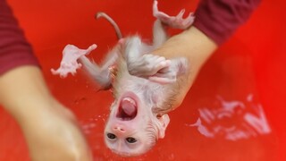 Routine Bathing!! Tiny adorable Luca doesn't want to take a bath, Crying seizure refuse Mom