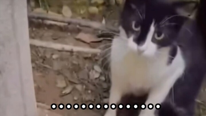 “The Current State of Parts of the Fan Community”