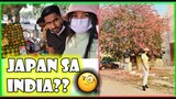 Fresh Fruit Sa India / Filipino Indian Vlog
