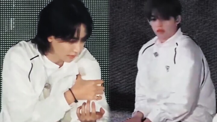 "Both of you, stop hurting already!"