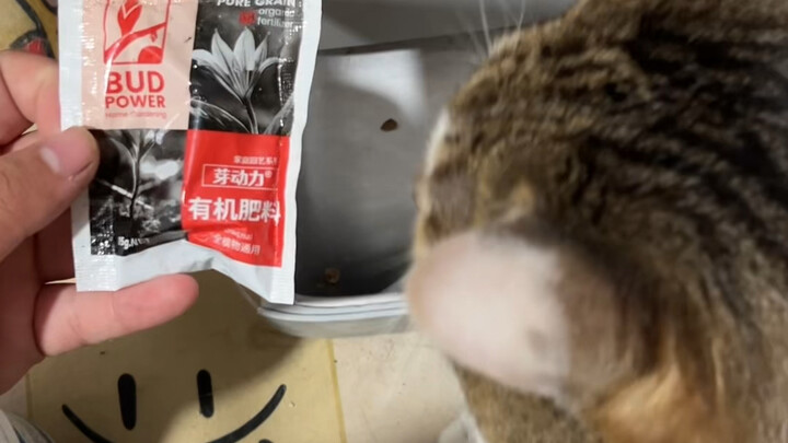 我们不吃化肥，有机会也不行啊