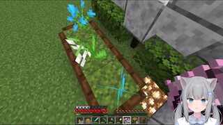 The Cat in Ganjo encountered a 10% generated cherry blossom forest! ?