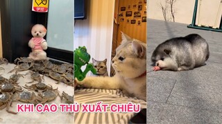 #31 Tik Tok Trend ✅ Tổng hợp những video triệu view | KHI CAO THỦ XUẤT CHIÊU