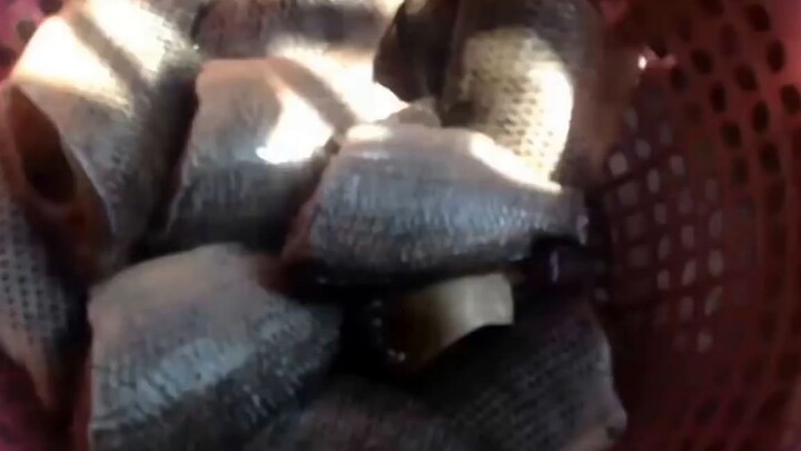 Cách rán cá giòn mà không bị bắn dầu!