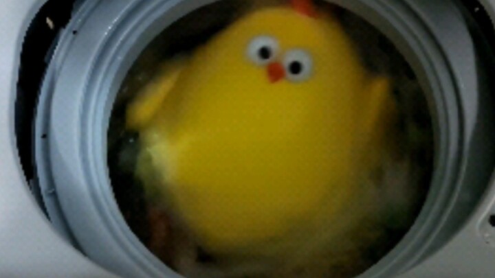 Laundry chicken or washing machine—rumor has it every household has one!