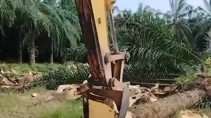 【Video Pelepas Stres Si Tomak】Video terbaru sudah tayang, ayo buruan nonton!