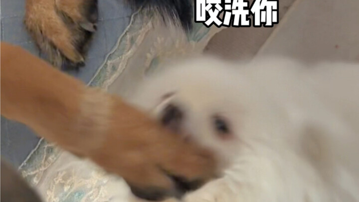 Siapa yang nonton sampai akhir tapi bisa tahan nggak nabok Hertz, aku ngaku kalah deh.