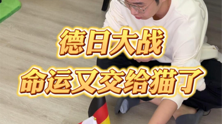Bay rồi! Tối nay cược xiên bốn cực mạnh! Anh ấy bảo “trúng thì xin thôi việc” – World Cup mà cũng để