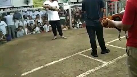 Signatute line Evo Grey lose mga ka hackfight,bawi ako sa sunod kulang ata conditioning swerte