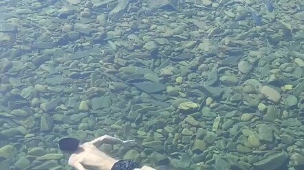 Swimming in Summer