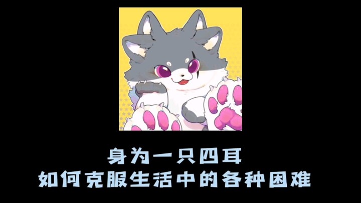 【ชุดสัตว์】หรืออีกชื่อหนึ่งคือการเอาชนะหูตัวเองทุกวัน!