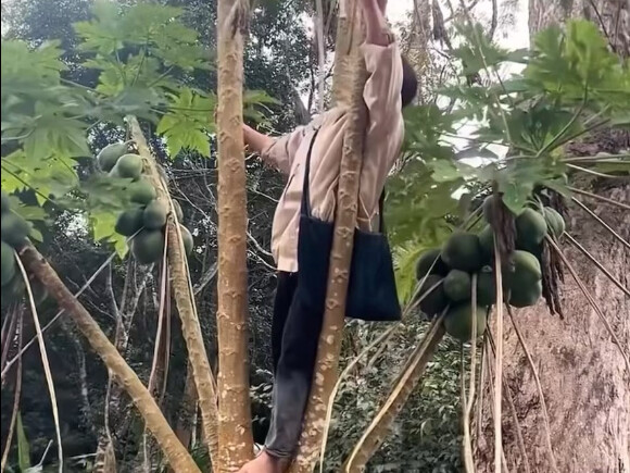 笑麻了